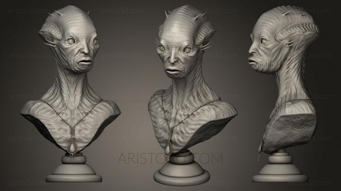 Busts of heroes and monsters (BUSTH_0023) 3D model for CNC machine